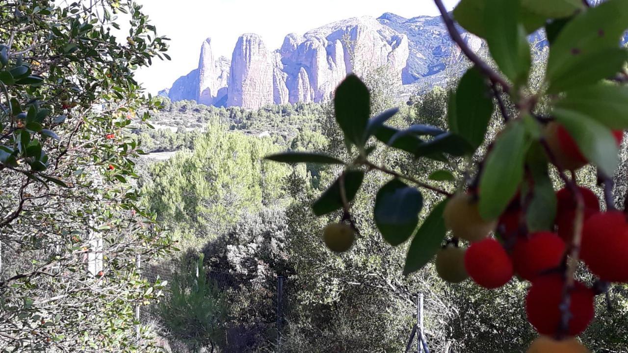 Appartement Despertar En Las Peñas de Riglos Extérieur photo